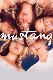 Mustang Mustang